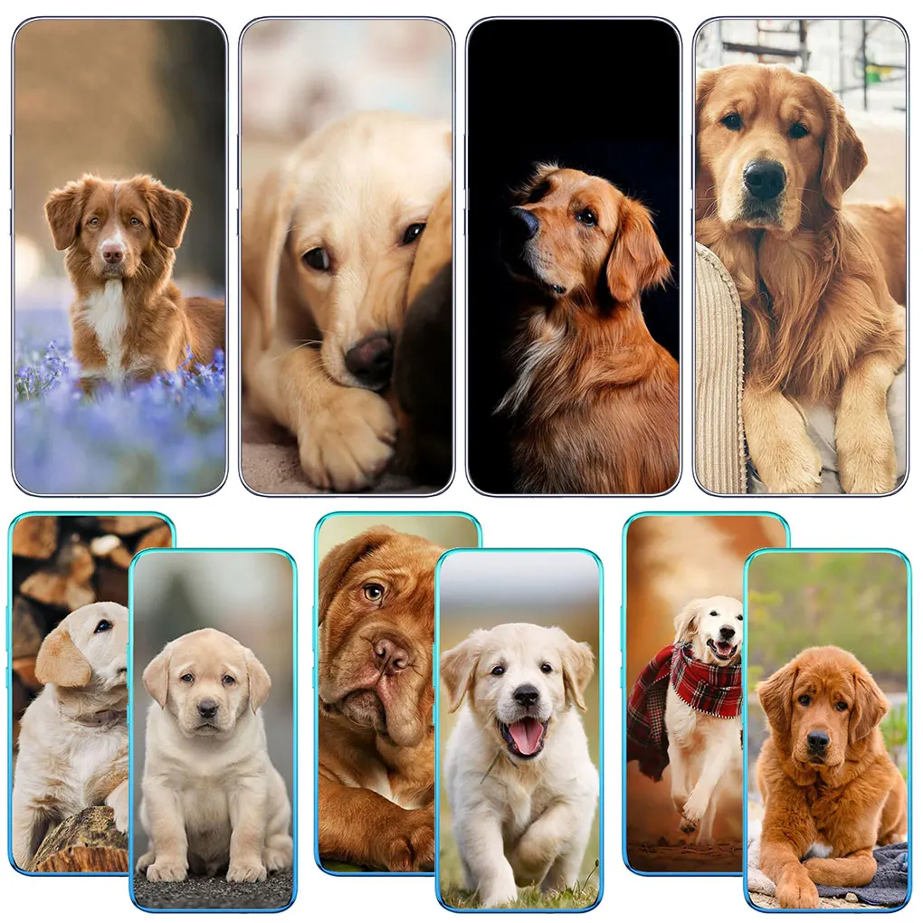 Animal Pet Golden Retriever Dog Чехол для телефона для Tecno Spark 8C 8P 7P 7T 8 POP 5 LTE 5P 7 Pro 6 Go Air Pova 2 3 4 Мягкий чехол0