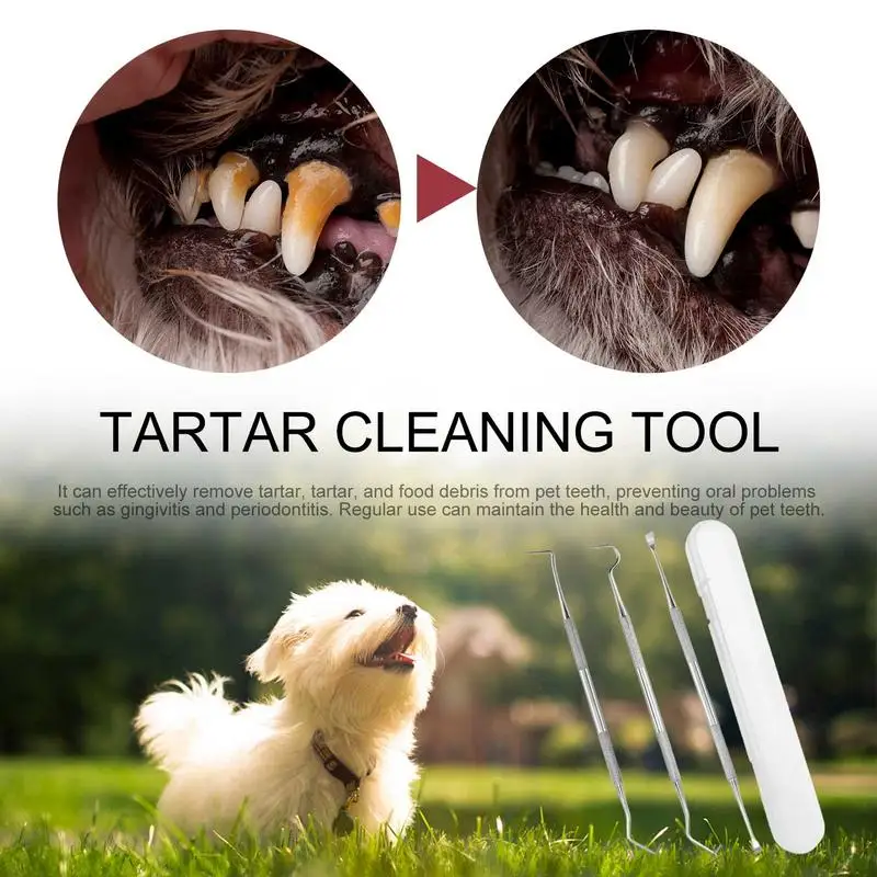 Очиститель зубов для собак Двухголовый скребок для удаления остатков пищи 3шт Нержавеющая сталь с обрезкой ящика для хранения2