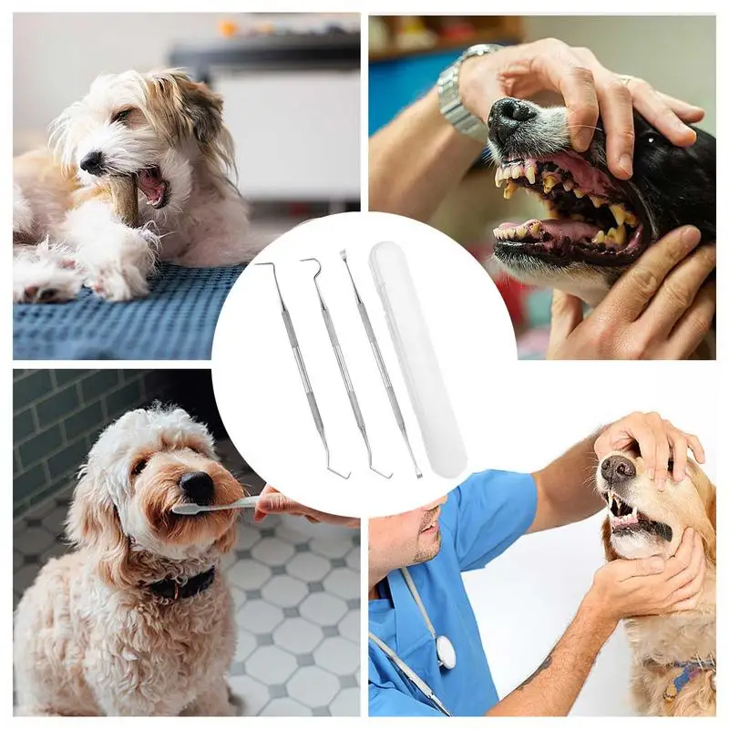Очиститель зубов для собак Двухголовый скребок для удаления остатков пищи 3шт Нержавеющая сталь с обрезкой ящика для хранения3